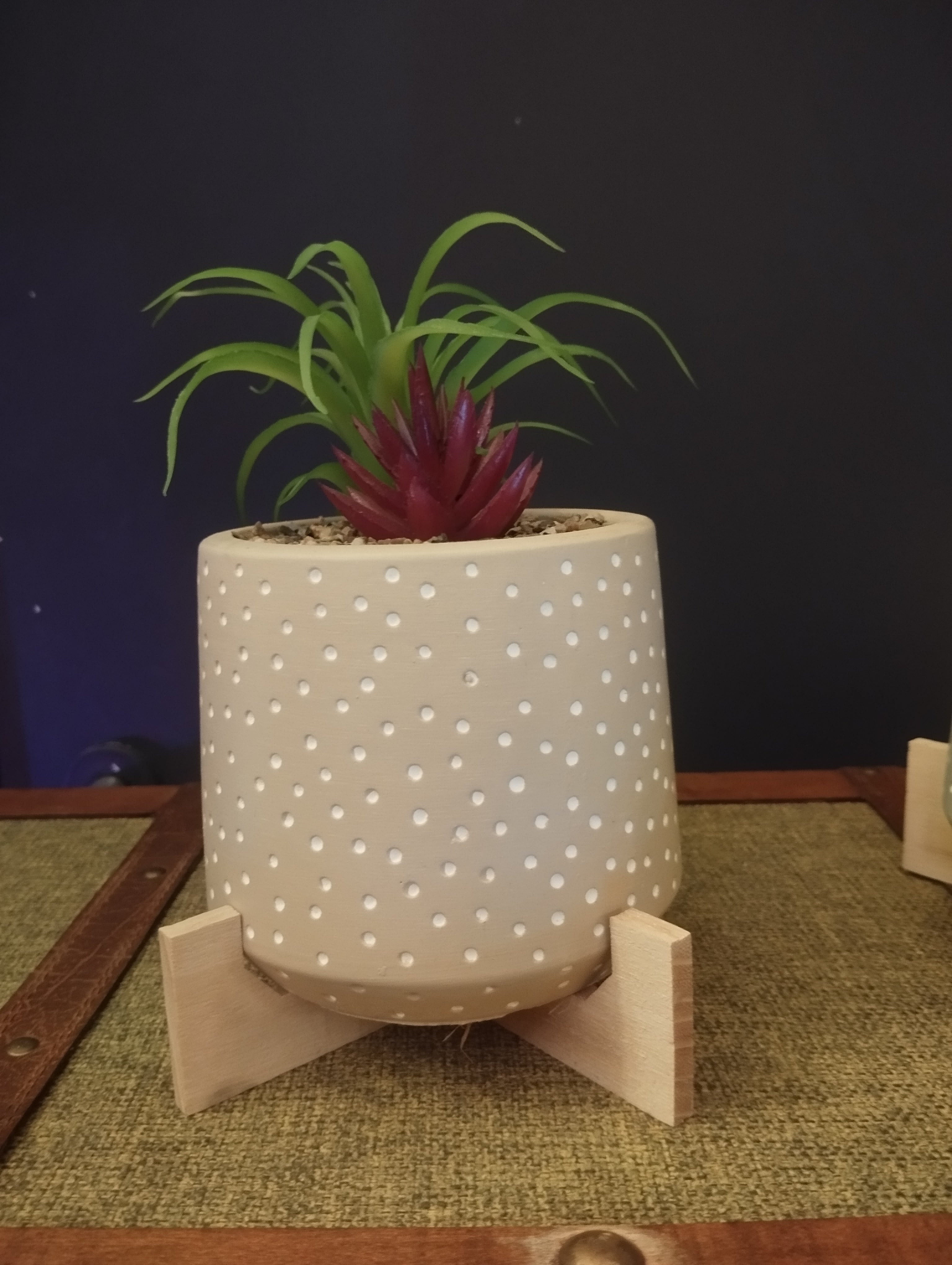 Piantine con vaso in Ceramica Polka Dot con Supporto in Legno – Vivacità e Stile per la Tua Casa